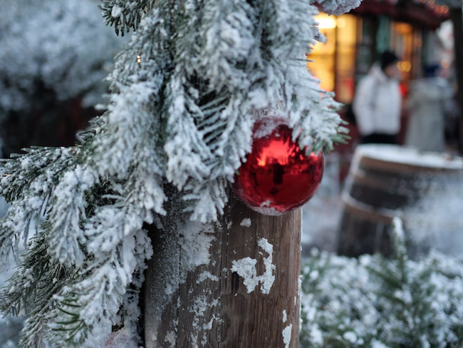 Christmas & holidays